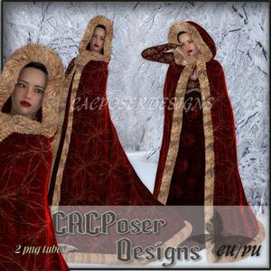 Cacwintergown3