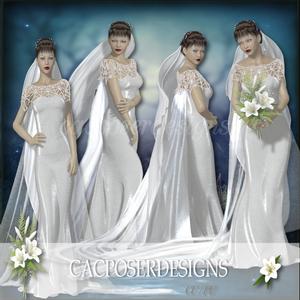 Wedding Dreams 1