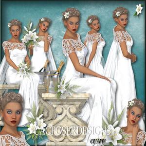 Wedding Dreams 2