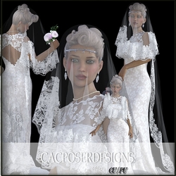 Bride with veil