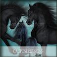 Friesian
