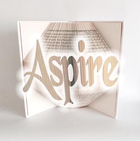 Book Folding Pattern - Aspire - Bookami - 323 Folds