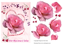 For The One I Love