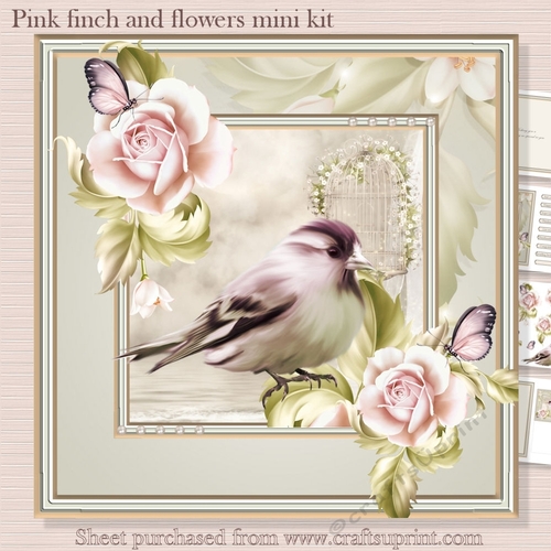 Pink Finch and flowers