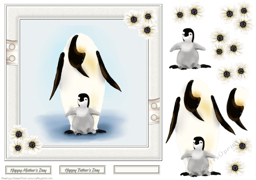 Penguin and chick card front