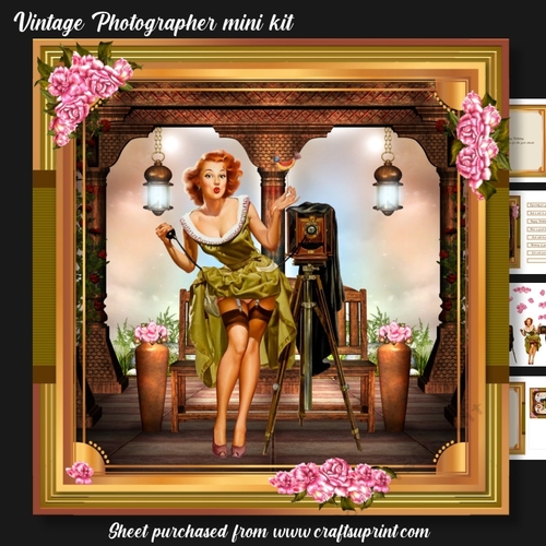 Vintage Pin-Up Photographer