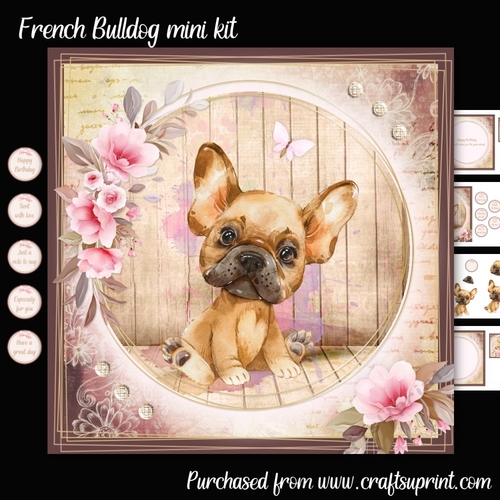 French Bulldog mini kit