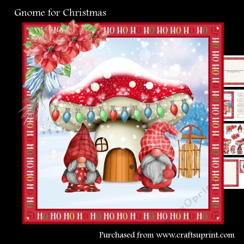 Gnome for Christmas