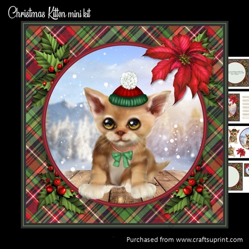 Christmas kitten mini kit