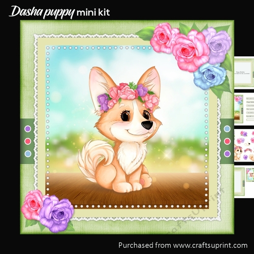 Dasha Puppy
