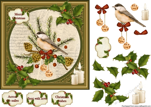 Birds and Holly