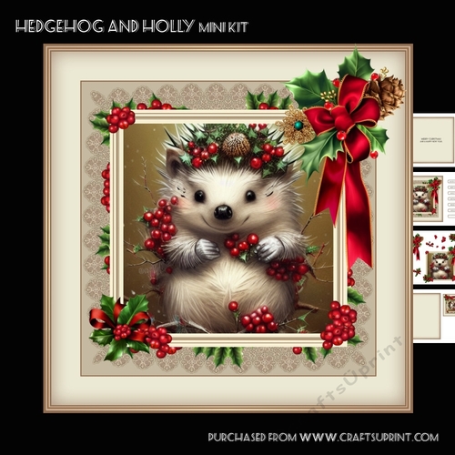 Hedgehog and Holly Mini kit