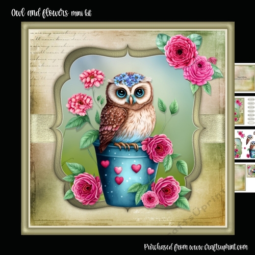 Owl and flowers mini kit