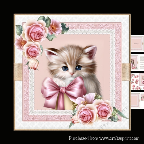 Birthday Kitten mini kit