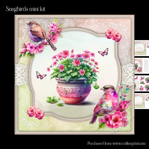 Songbird mini kit