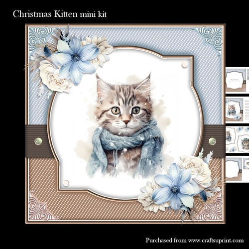 Christmas cat mini kit