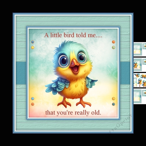 Little Bird mini kit