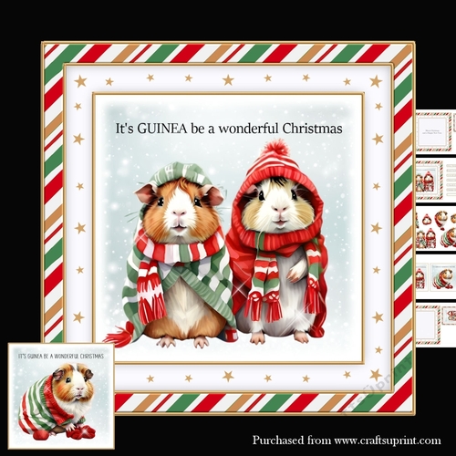 Guinea Pig Christmas