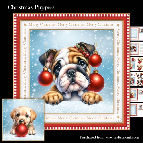 Christmas puppies