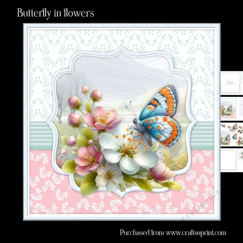 Butterfly in flowers