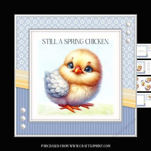 Spring Chicken