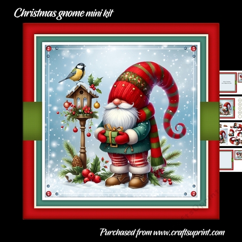 Christmas gnome mini kit