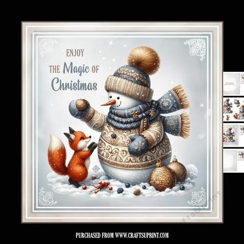The fox and the snowman