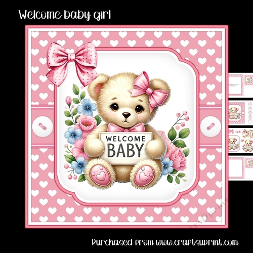 Welcome baby girl
