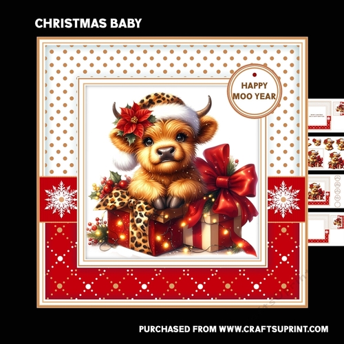 Christmas baby