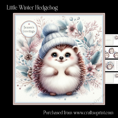 Little Winter Hedgehog