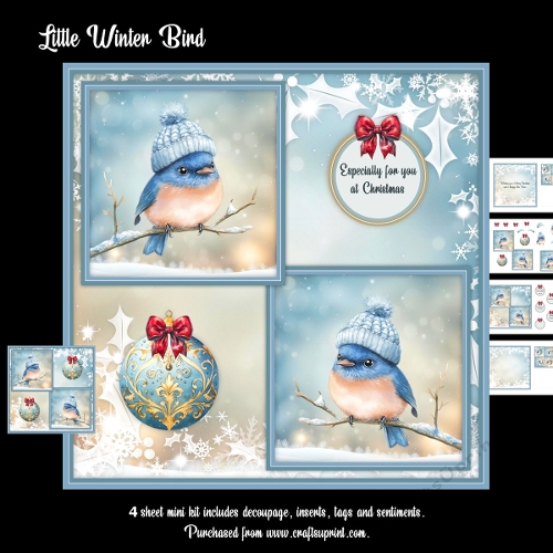 Little Winter Birds