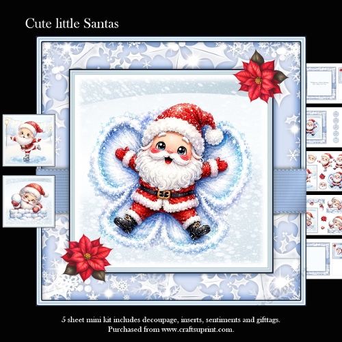 Cute little Santa