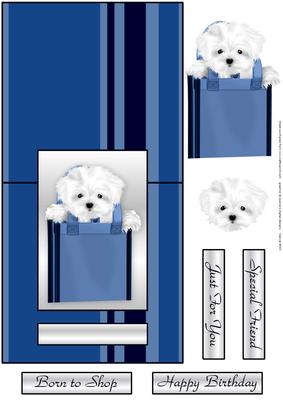 Doggie Bag Quick Card