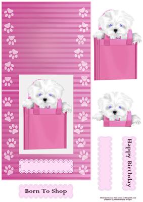 Puppy Cut and Fold