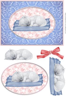 Sleepy Kitten Card Front