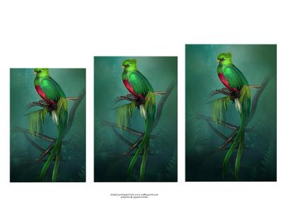 Quetzal Bird Add On