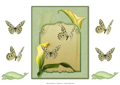 Lilies and Butterflies