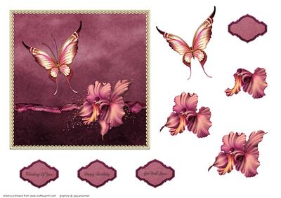 Orchid and Butterfly