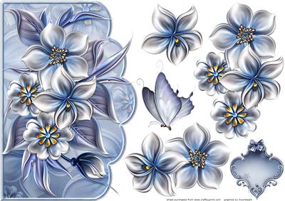 Flora with Butterly