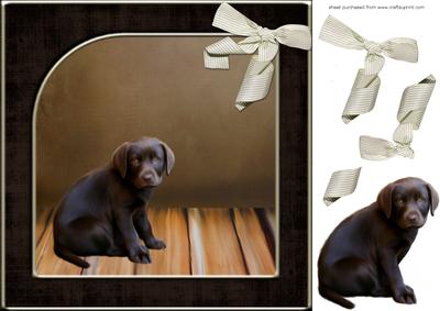 Brown Labrador Card Front