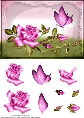 Rose and Butterfly