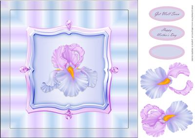 Delightful Orchid
