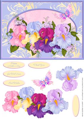 Orchid Spray