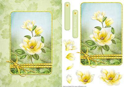 Magnolia
