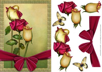 Summer Roses