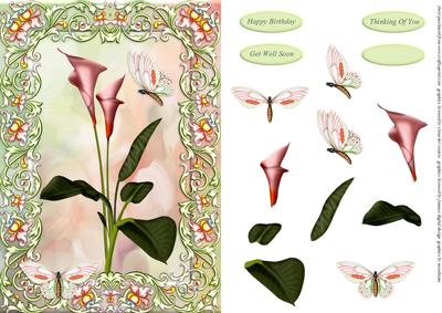 Lily and Butterfly