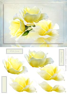 Yellow Rose Floral Card Front