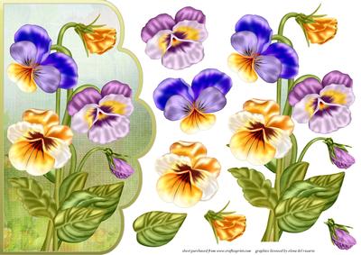 Pansy Scalloped Card Front