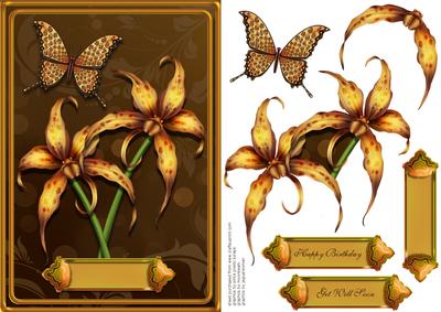 Leopard Butterfly and Orchid
