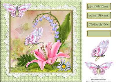 Flowers and Butterflies